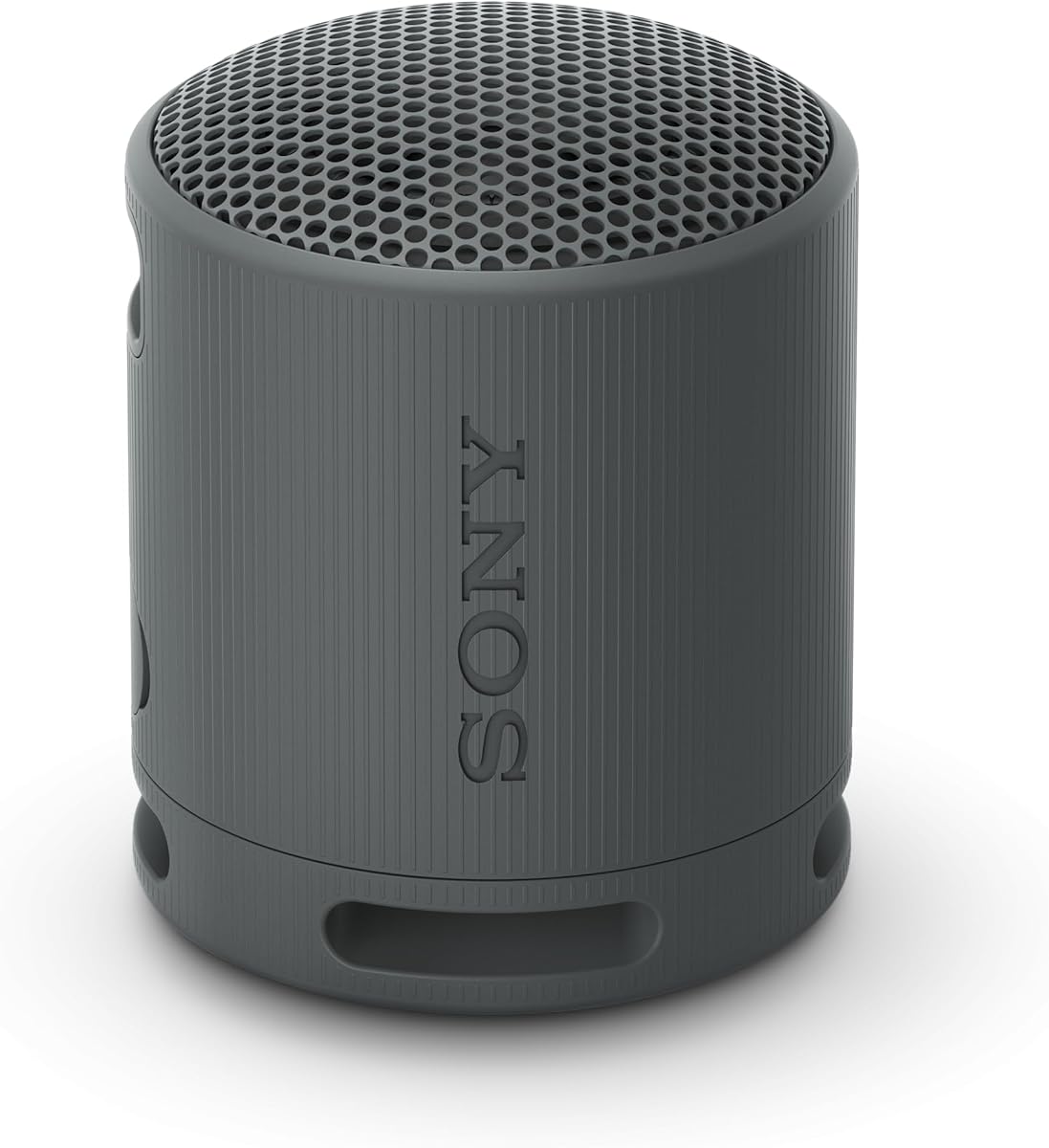 Sony SRS-XB100